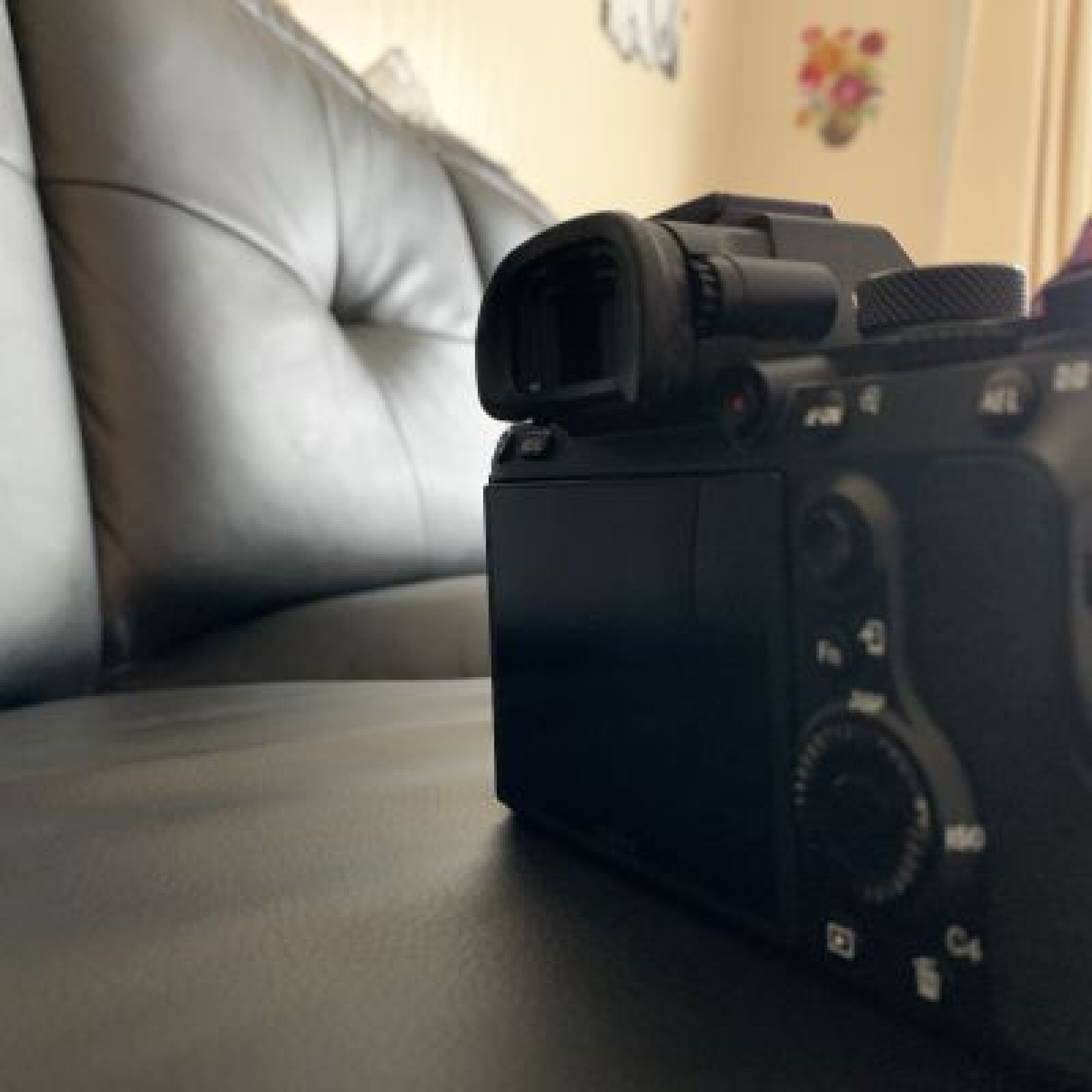SONY A7 3 - Photo 5 sur 5