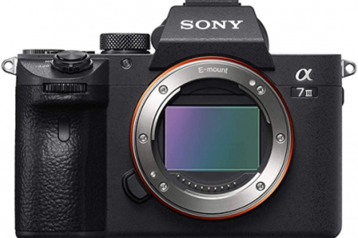 Location Sony Alpha 7 III (A73) - Lightyshare