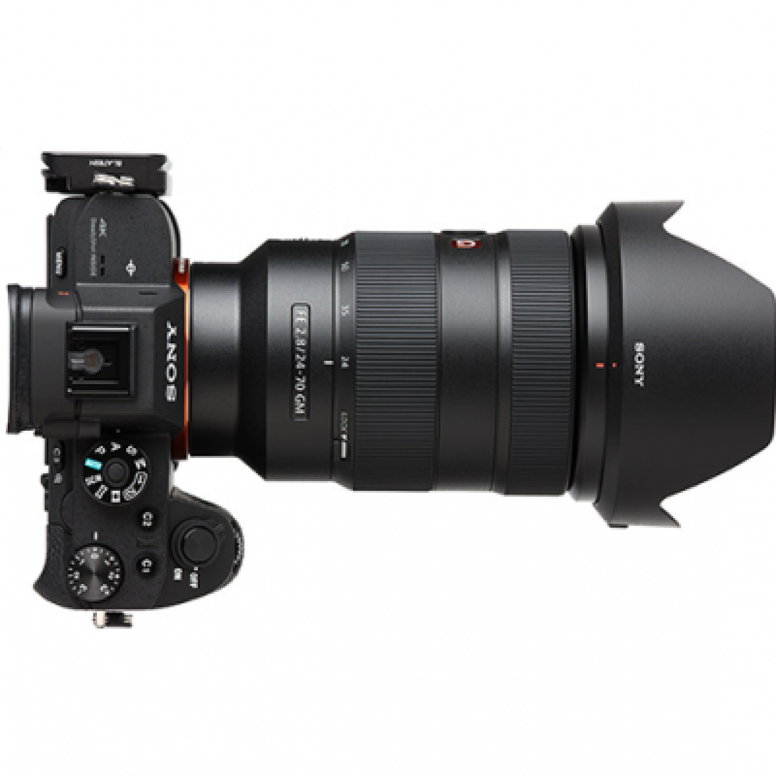 Sony A7III x Objectif G-master 28-70mm f2.8 - Photo 1 sur 5