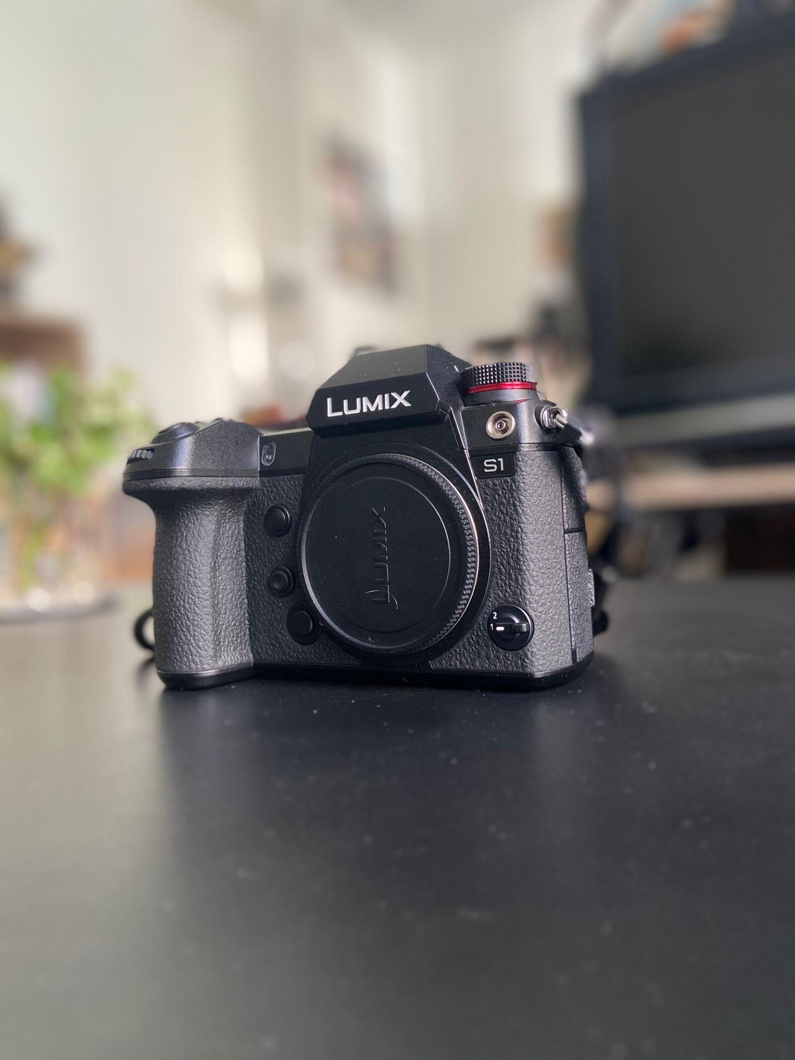 Lumix S1 - Photo 1 sur 3