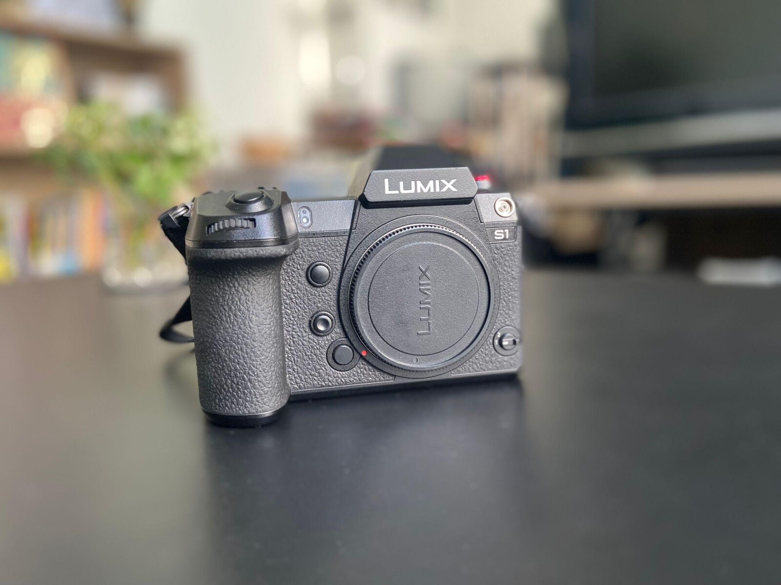 Lumix S1 - Photo 2 sur 3