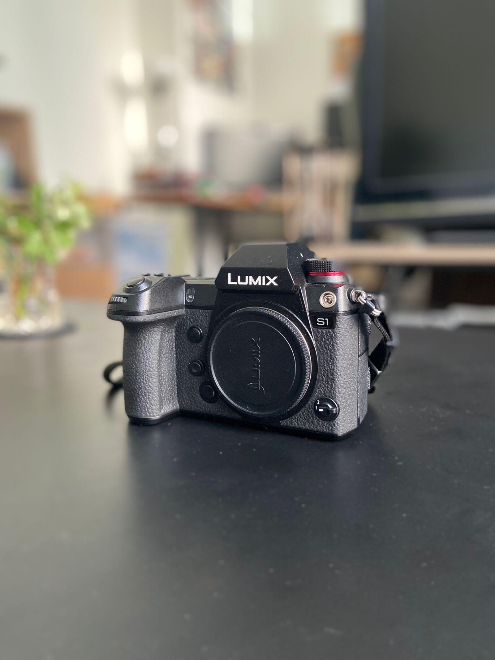 Lumix S1 - Photo 3 sur 3
