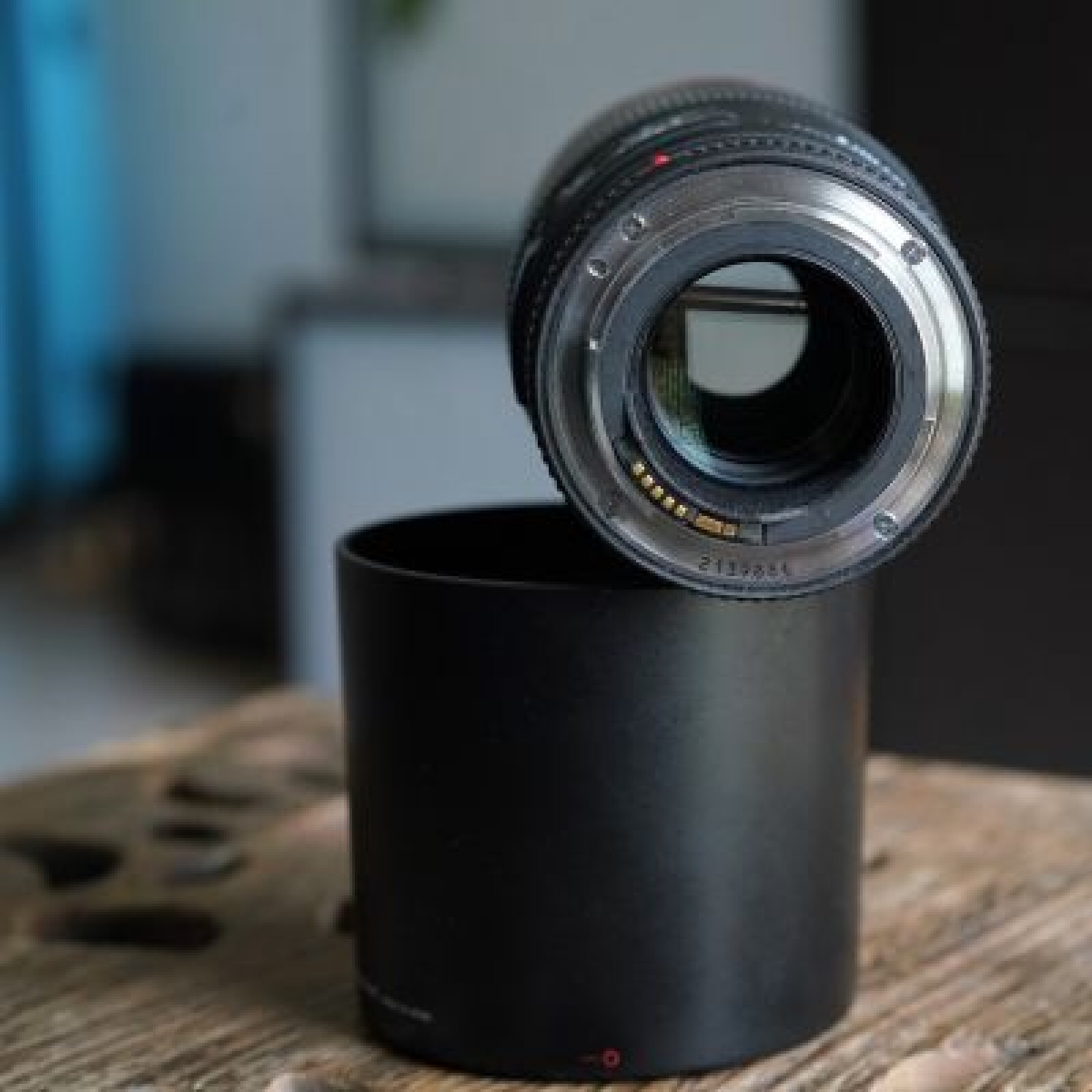 Canon EF 100mm f/2.8L Macro IS USM - Photo 2 sur 4