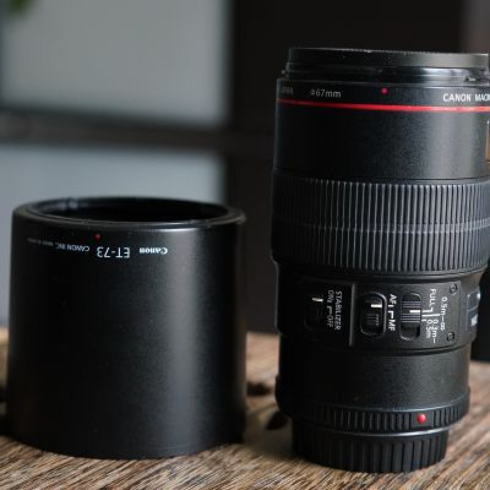 Canon EF 100mm f/2.8L Macro IS USM - Photo 4 sur 4