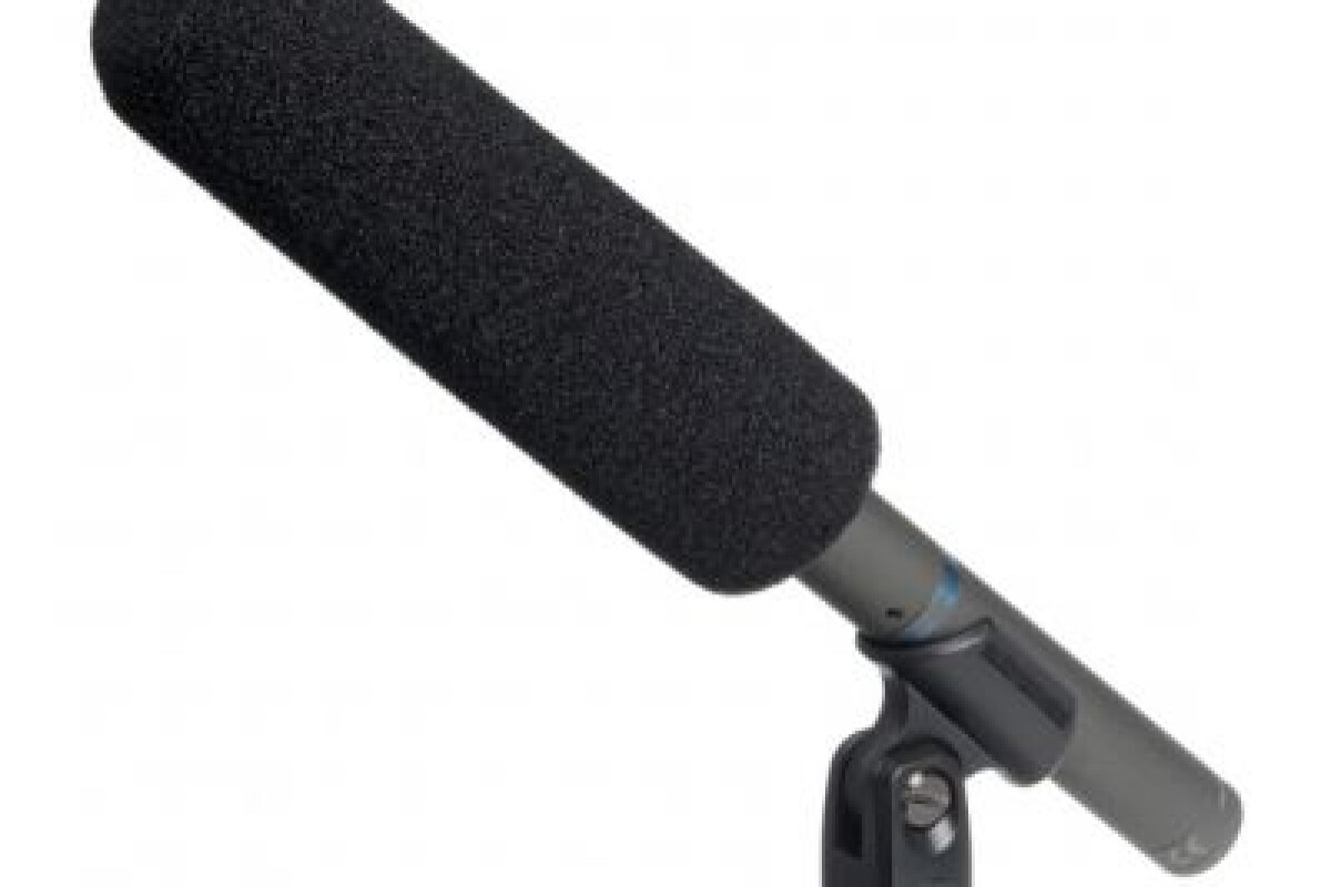 Location Micro canon (directionnel) - Lightyshare