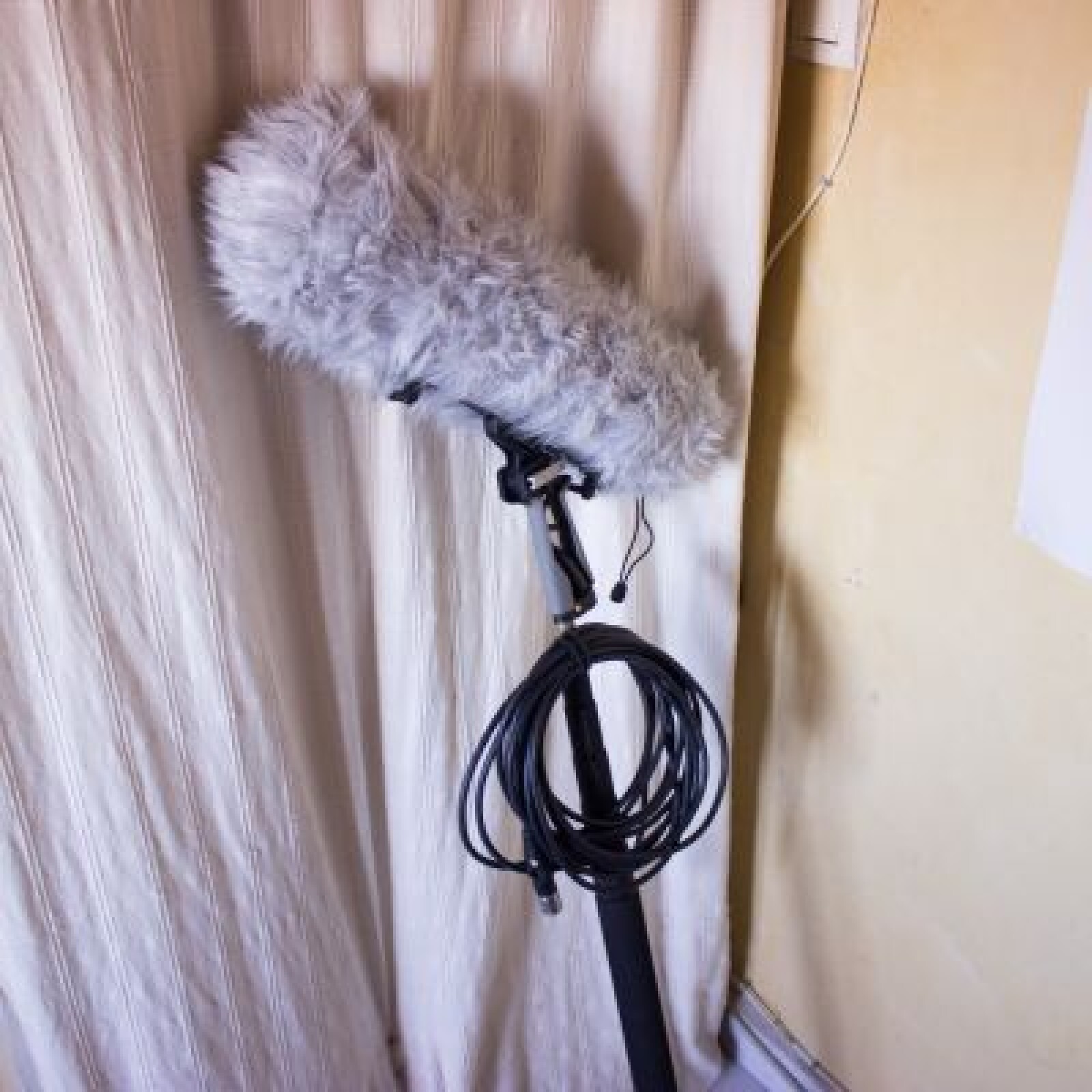 Pack Perche + NTG2 + Bonnette anti vent - Photo 3 sur 4