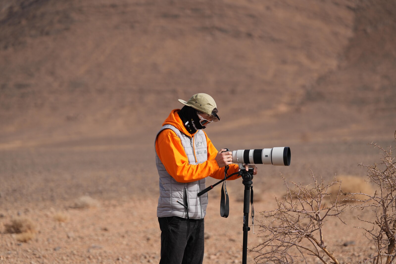 Téléobjectif Sony FE 200 – 600 mm F5.6 – 6.3 G OSS - Photo 2 sur 3