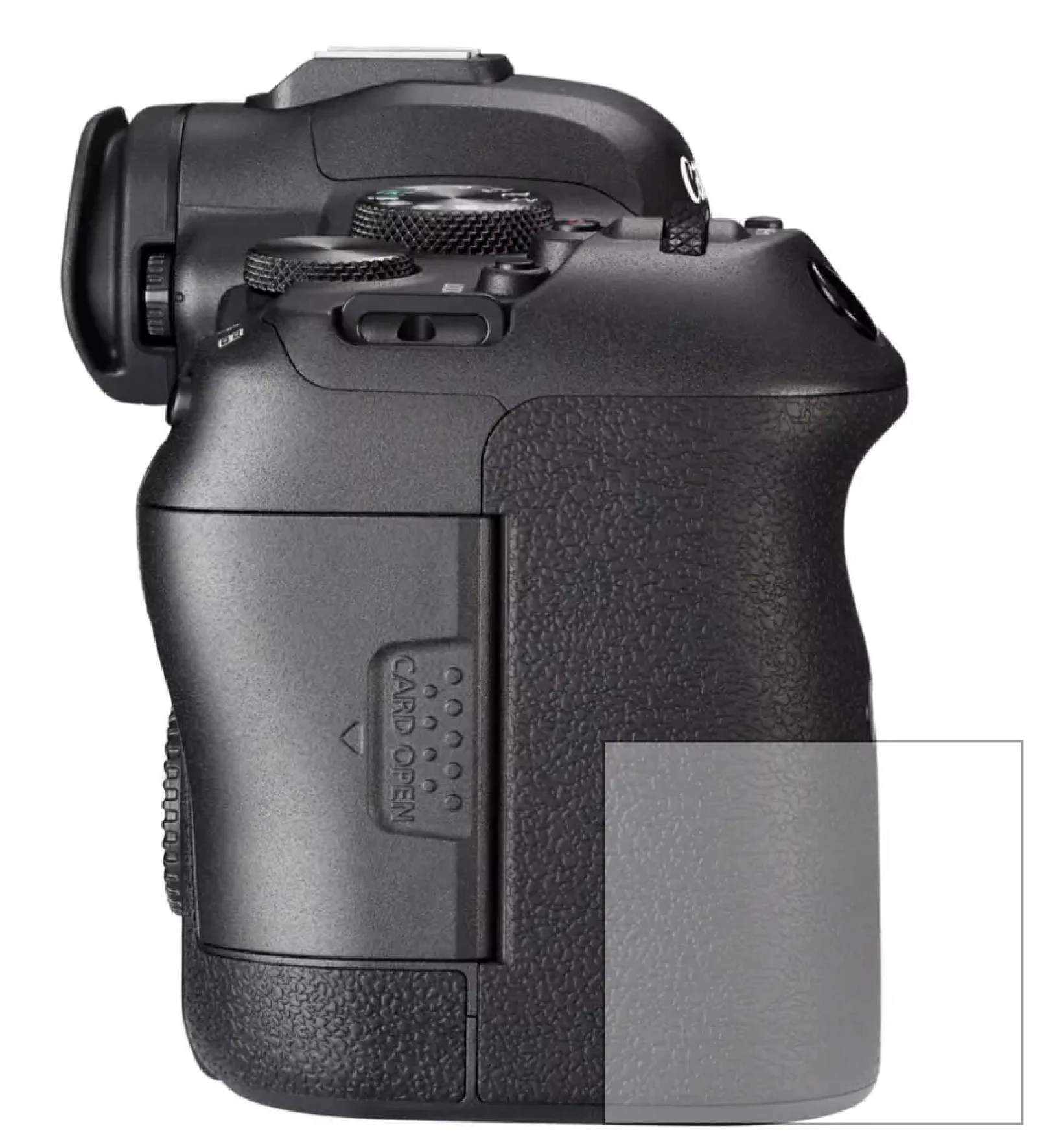 Canon R6 - Photo 4 sur 5