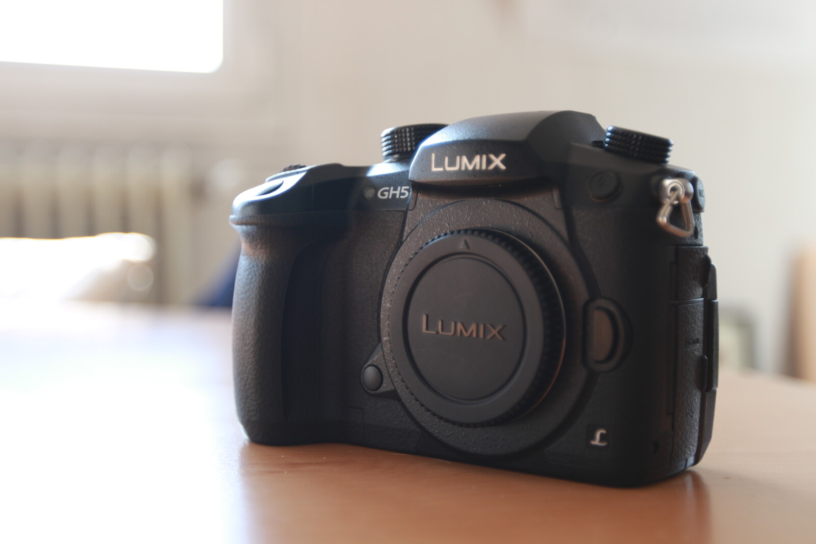 Panasonic Lumix GH5 + 4 batteries + SD 128Go - Photo 1 sur 1