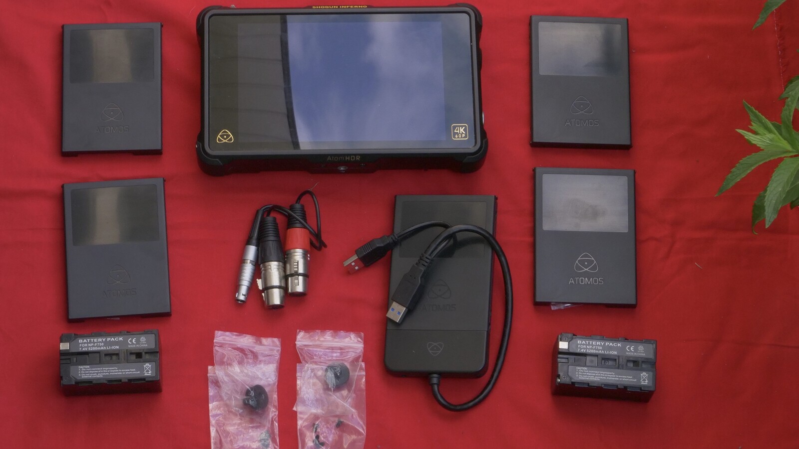 Atomos INFERNO - Photo 2 sur 4