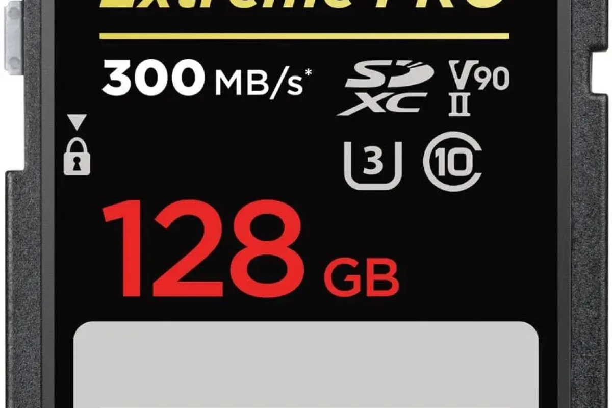 Location SanDisk Extreme Pro 128Go - Lightyshare