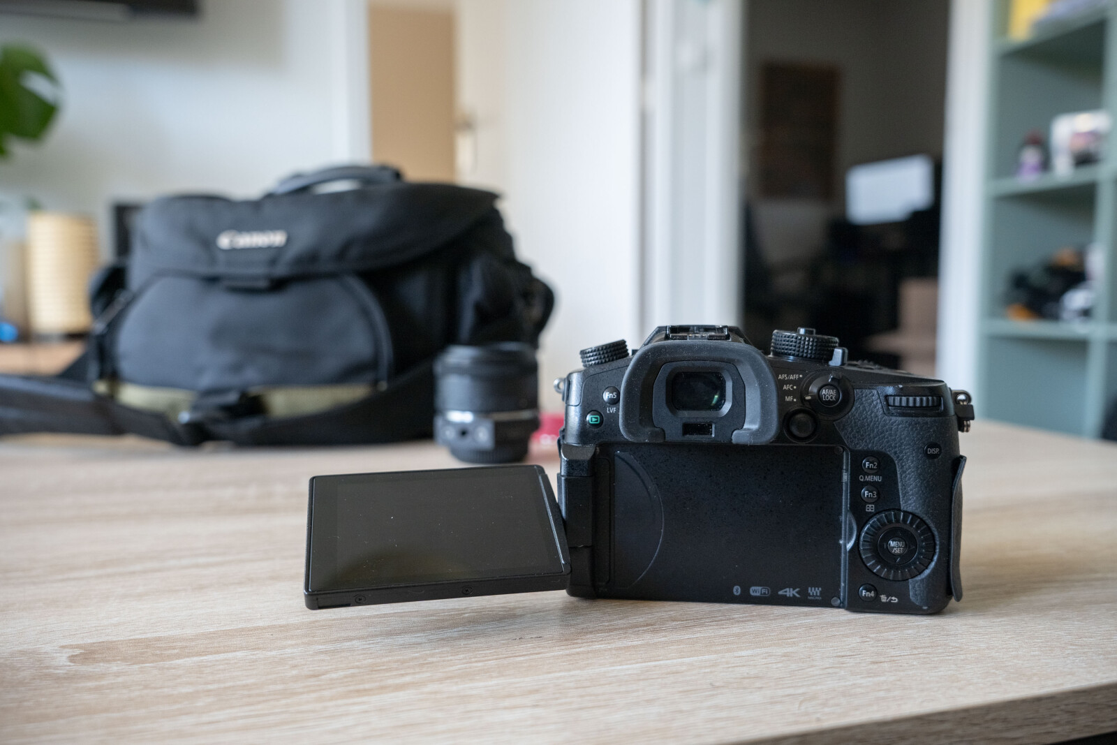 Panasonic LUMIX GH5 - Photo 3 sur 5