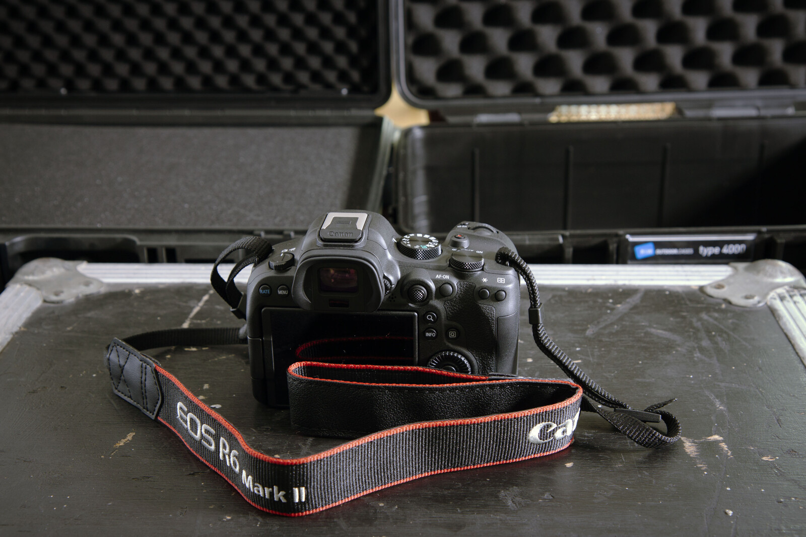 Canon R6 Mark II - Photo 3 sur 4