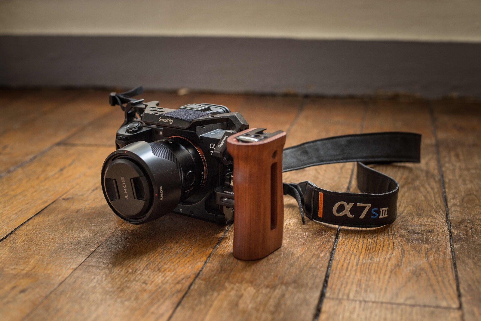 Sony Alpha 7S III (A7S3) - Photo 1 sur 9