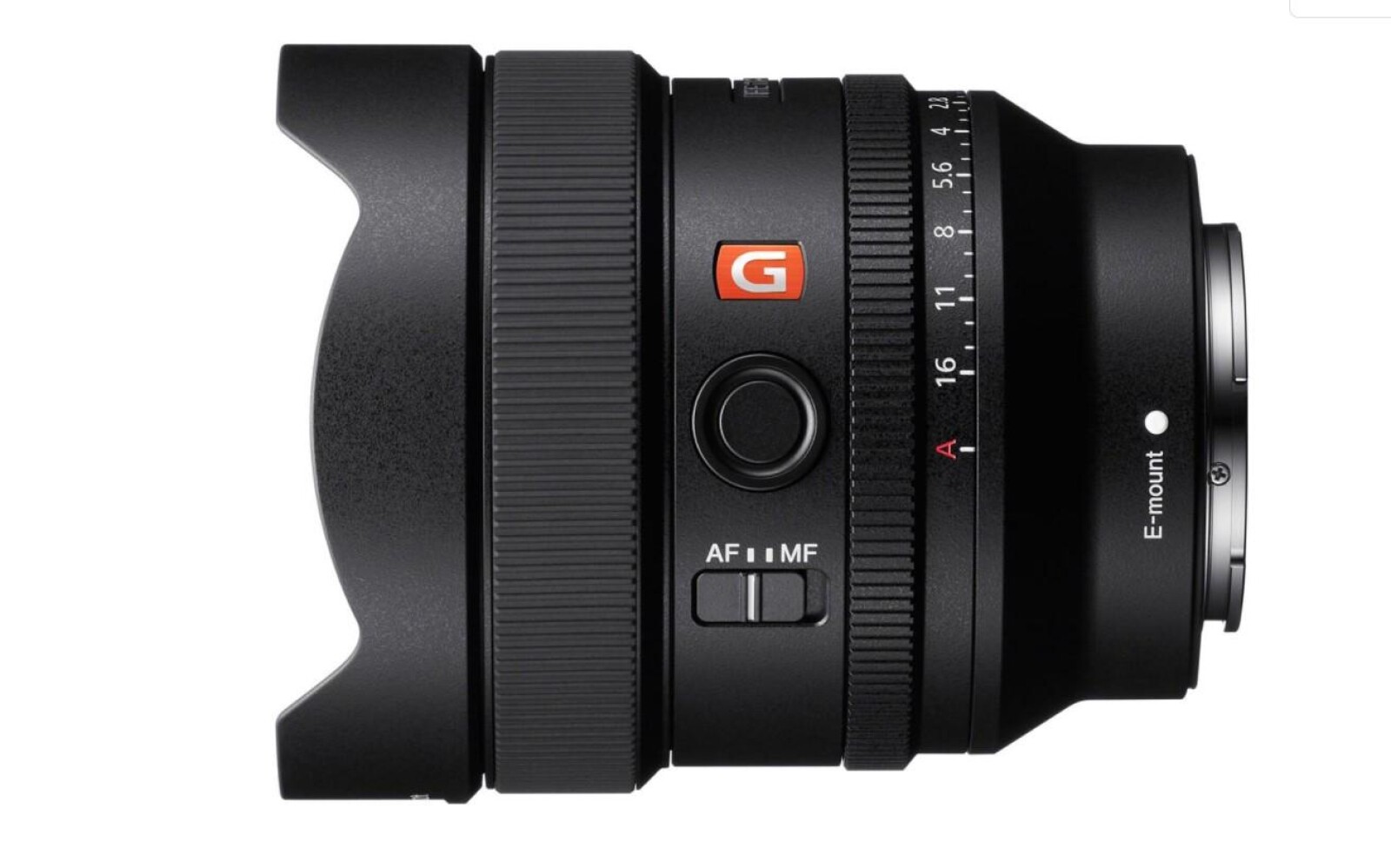 Sony Alpha 7S III (A7S3) - Photo 8 sur 9