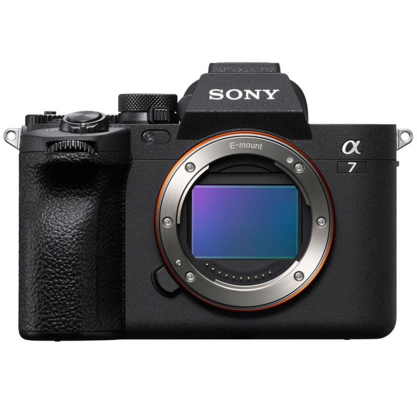 Sony 7IV - Photo 1 sur 1