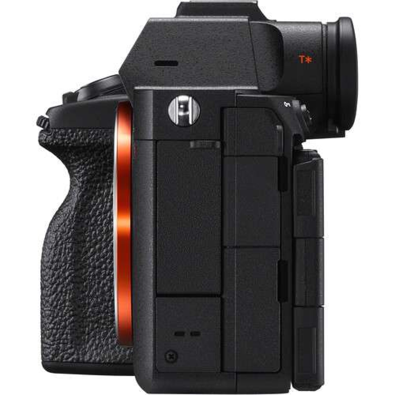 Sony A7RV - Photo 2 sur 3