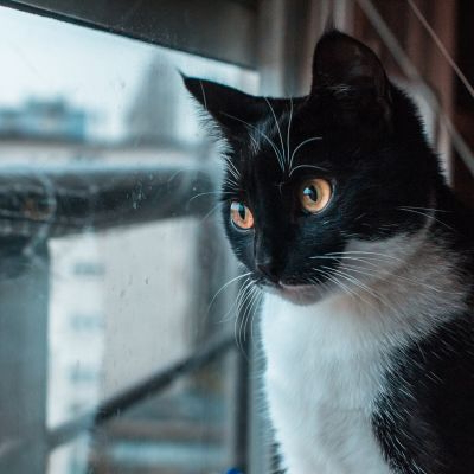 Objectif URSS Mir-1 (37mm f/2.8) Canon EF - Photo 5 sur 5