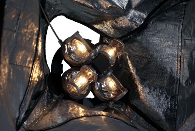 Location Dedolight DLH4 x 150S + Chimera softbox