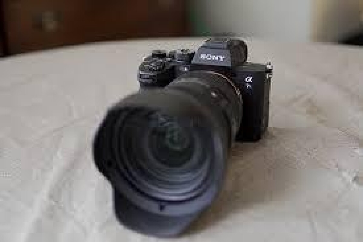 Location Sony Alpha 7S III - 24-70 SIGMA ART - Lightyshare