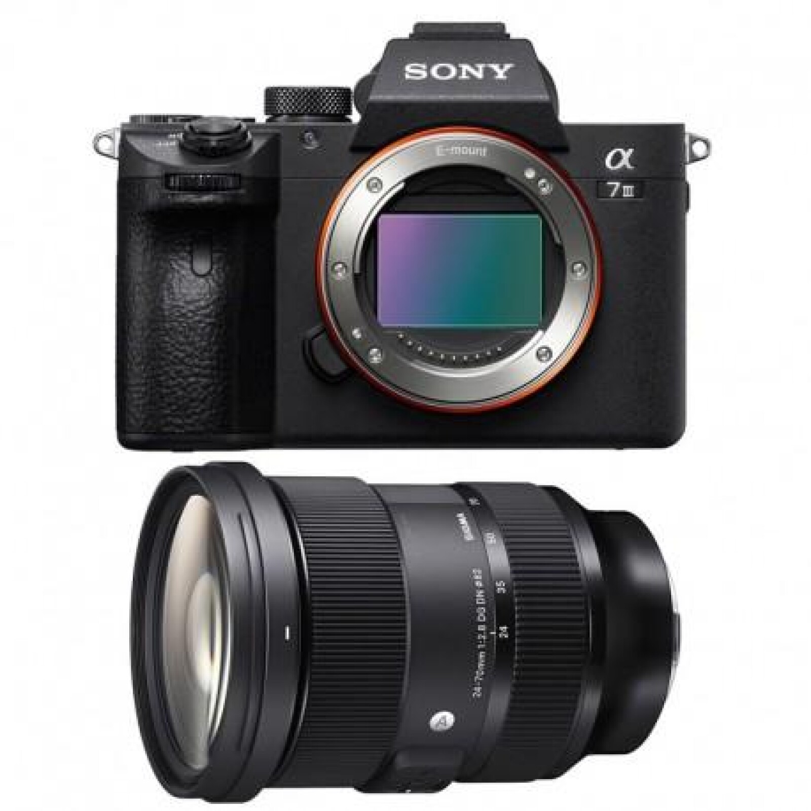 Sony Alpha 7 III - 24-70 /2.8 SIGMA ART - Photo 1 sur 1
