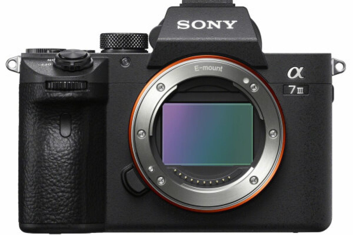 Location Sony Alpha 7 III (A73) - Lightyshare