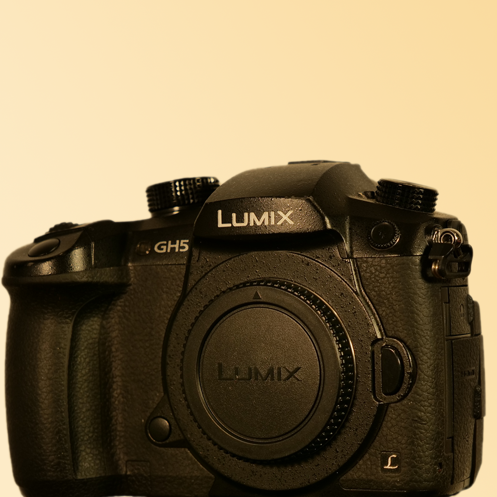 GH5 nu - 3 batteries - 1 carte SD 64Go - Photo 1 sur 4