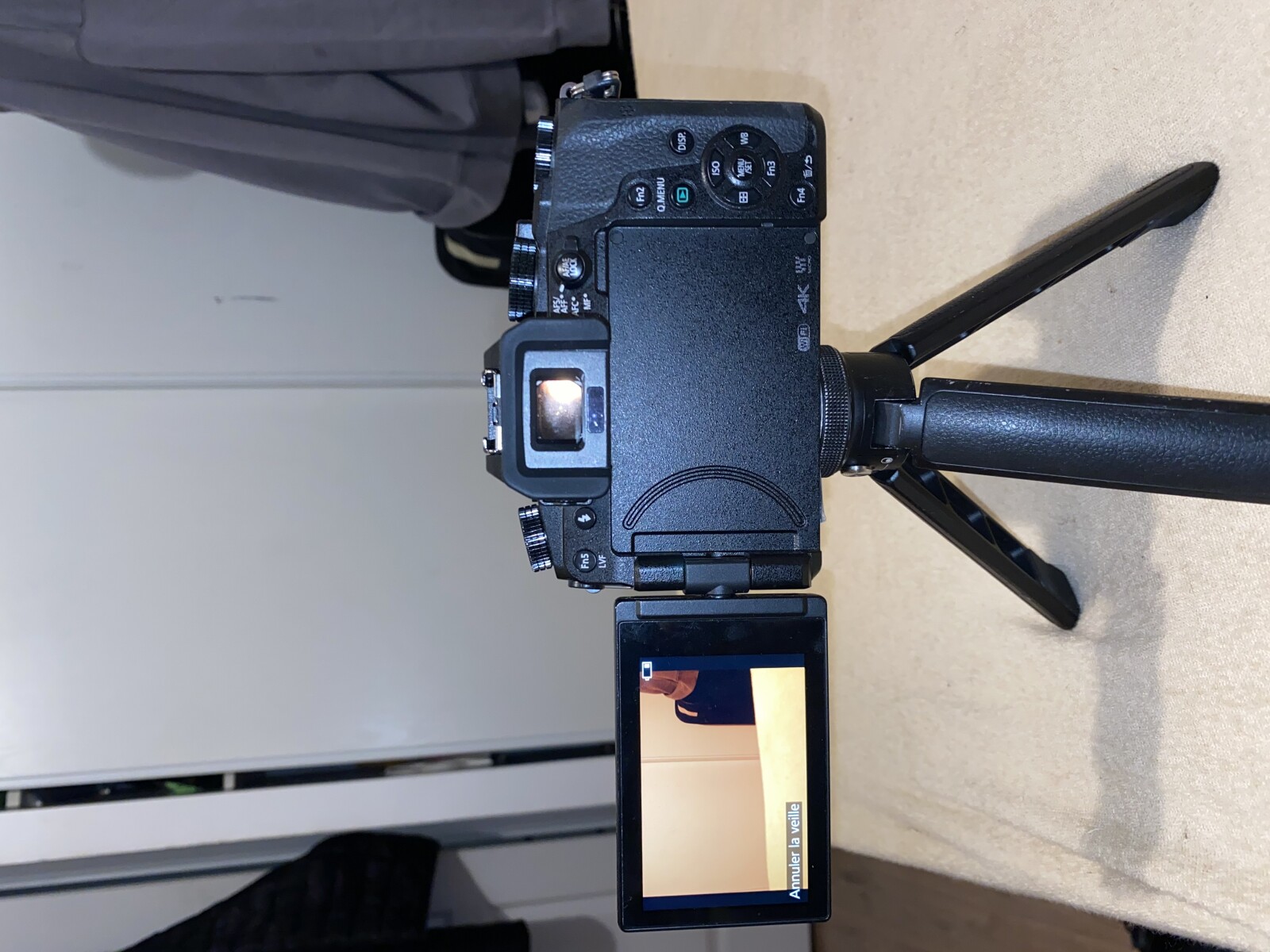 Lumix DMC-G7 - Photo 2 sur 3