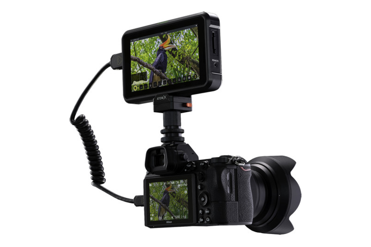 Location Atomos Shinobi - Lightyshare