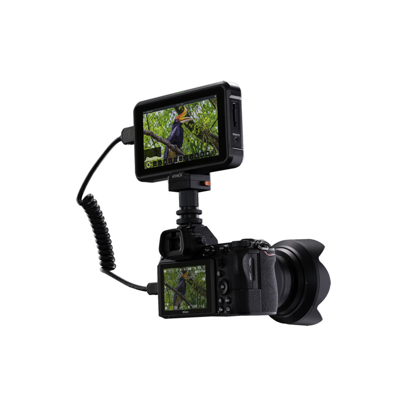 Atomos Shinobi - Photo 1 sur 2