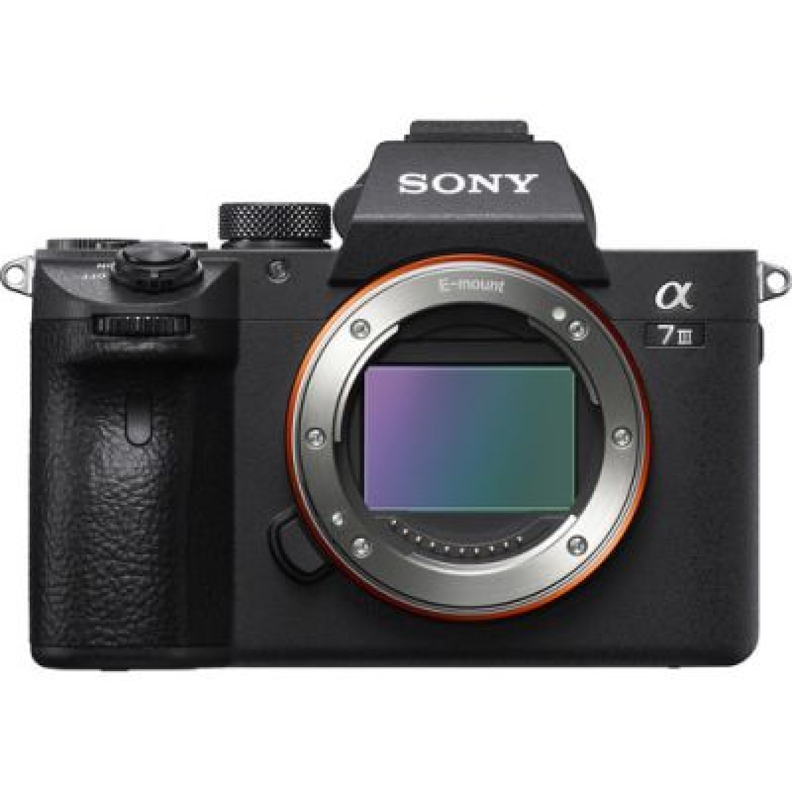 Sony Alpha 7 III (A73) - Photo 1 sur 2