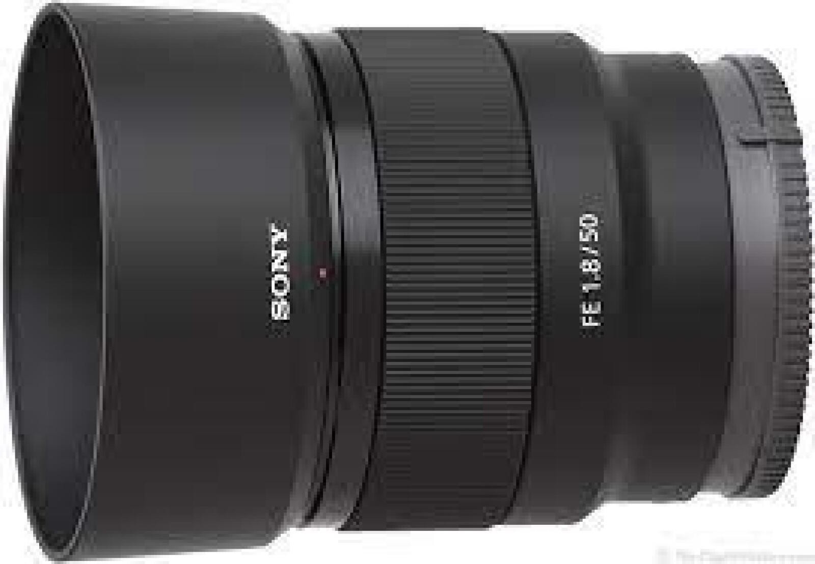 Sony FE 50mm F1.8 - Photo 3 sur 3