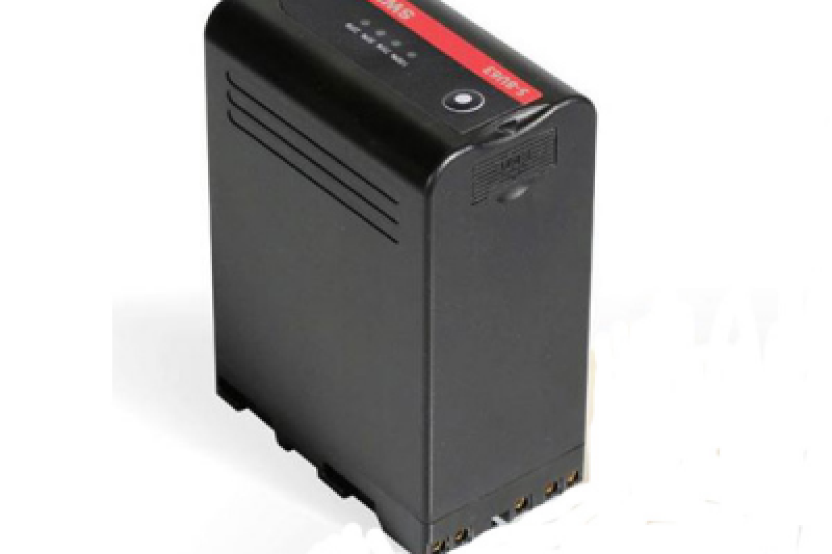 Location 2 Batteries Longue durée Sony - S 8U63 - Lightyshare