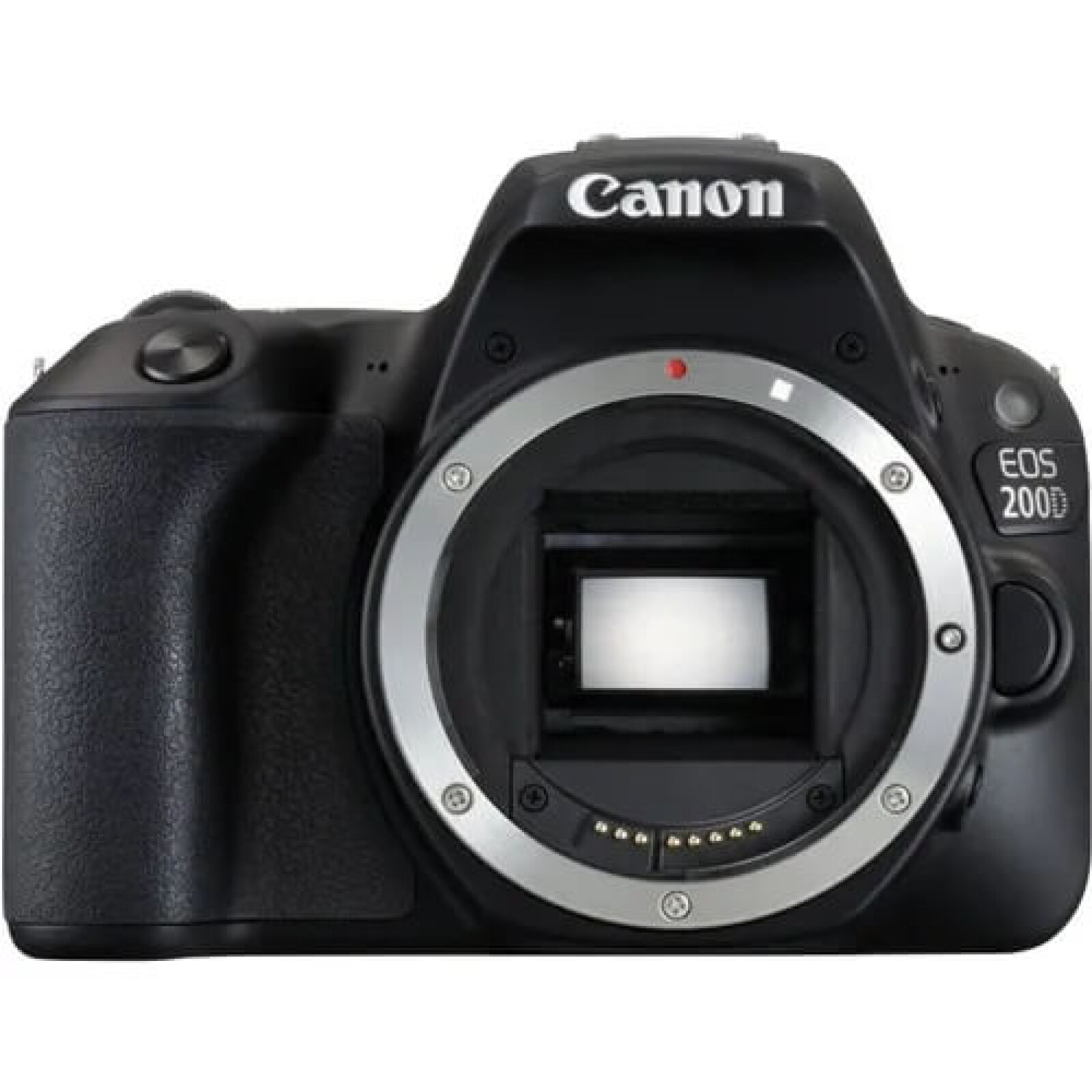 Canon 200D - Photo 1 sur 1