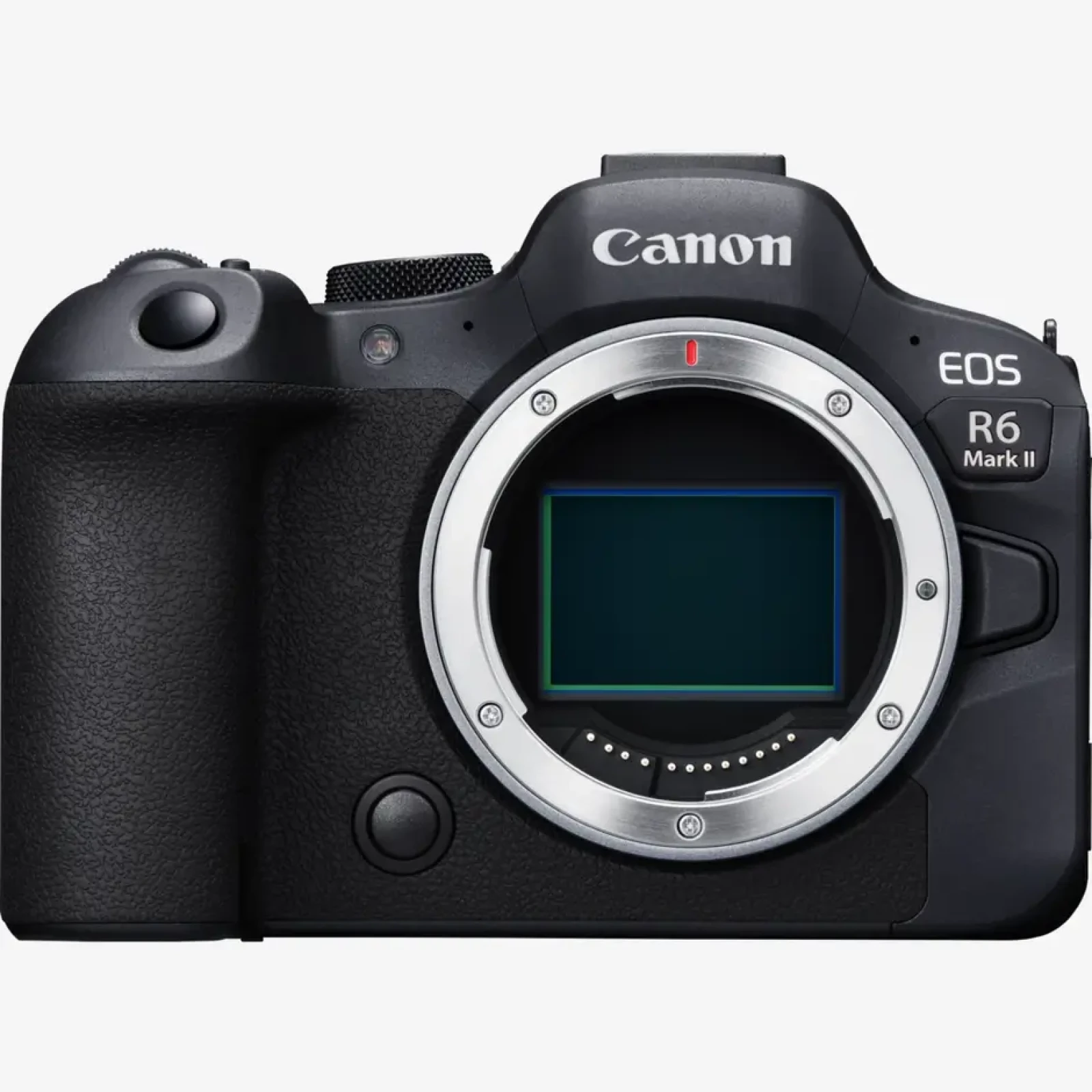 Canon R6 Mark II - Photo 1 sur 1