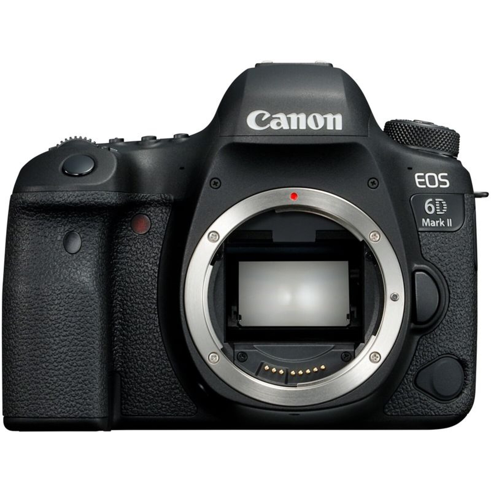 Canon 6D Mark II - Photo 1 sur 4