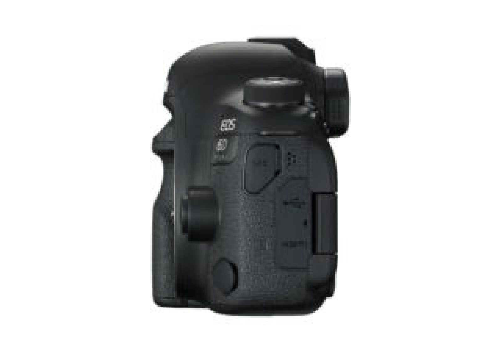 Canon 6D Mark II - Photo 3 sur 4