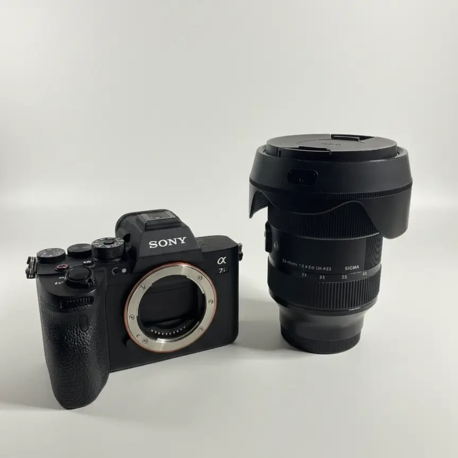 Sony Alpha 7S III (A7S3) - Photo 3 sur 5