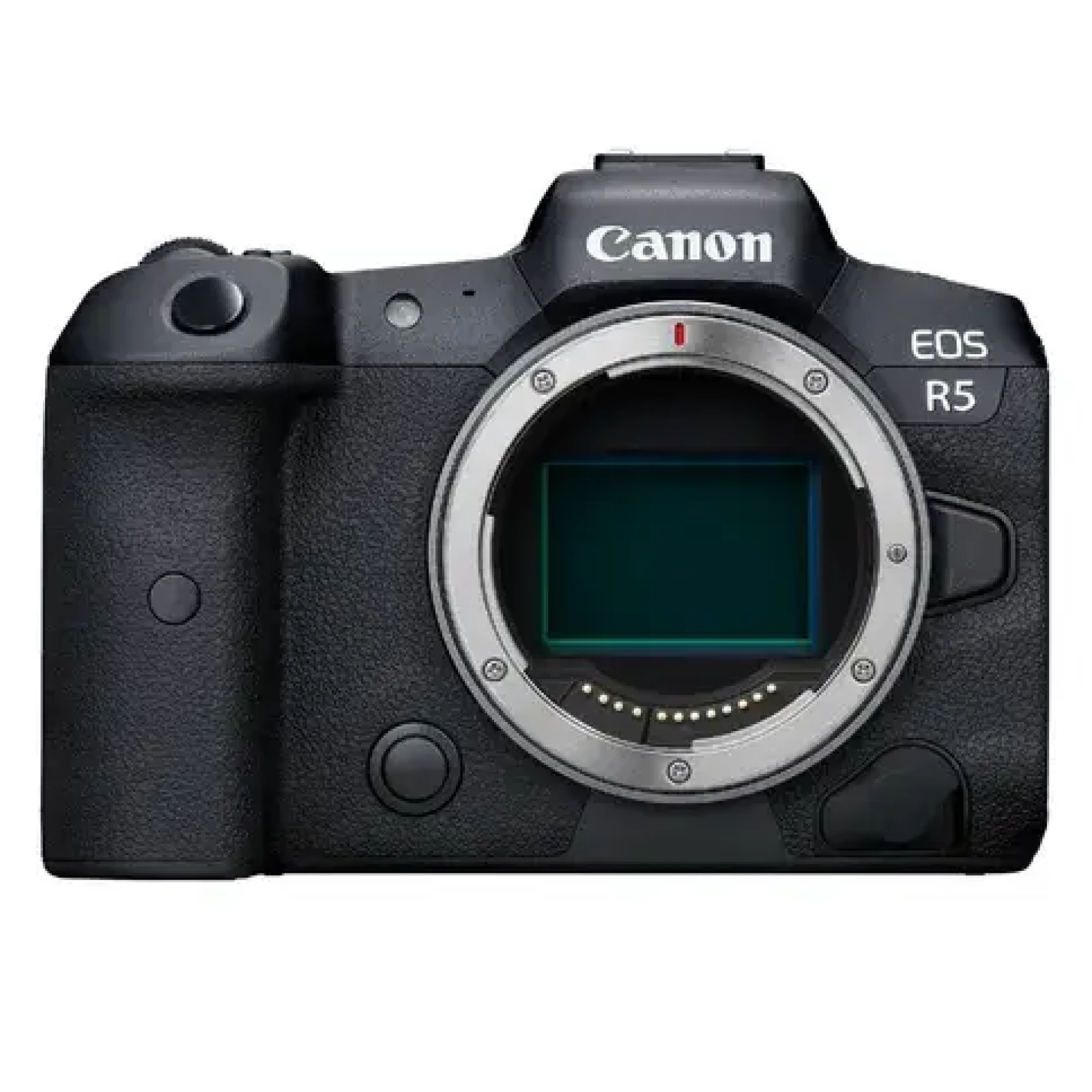 Canon EOS R5 - Photo 3 sur 3