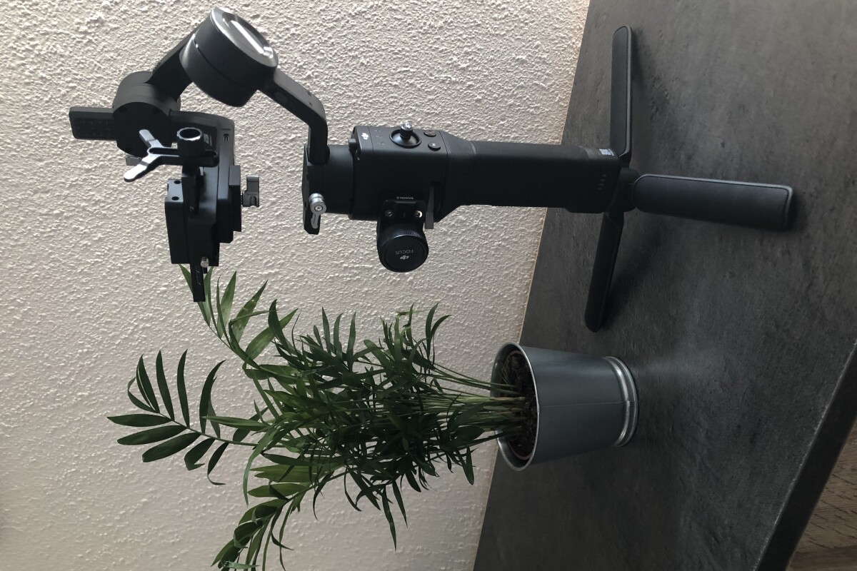 Location RONIN SC - Lightyshare