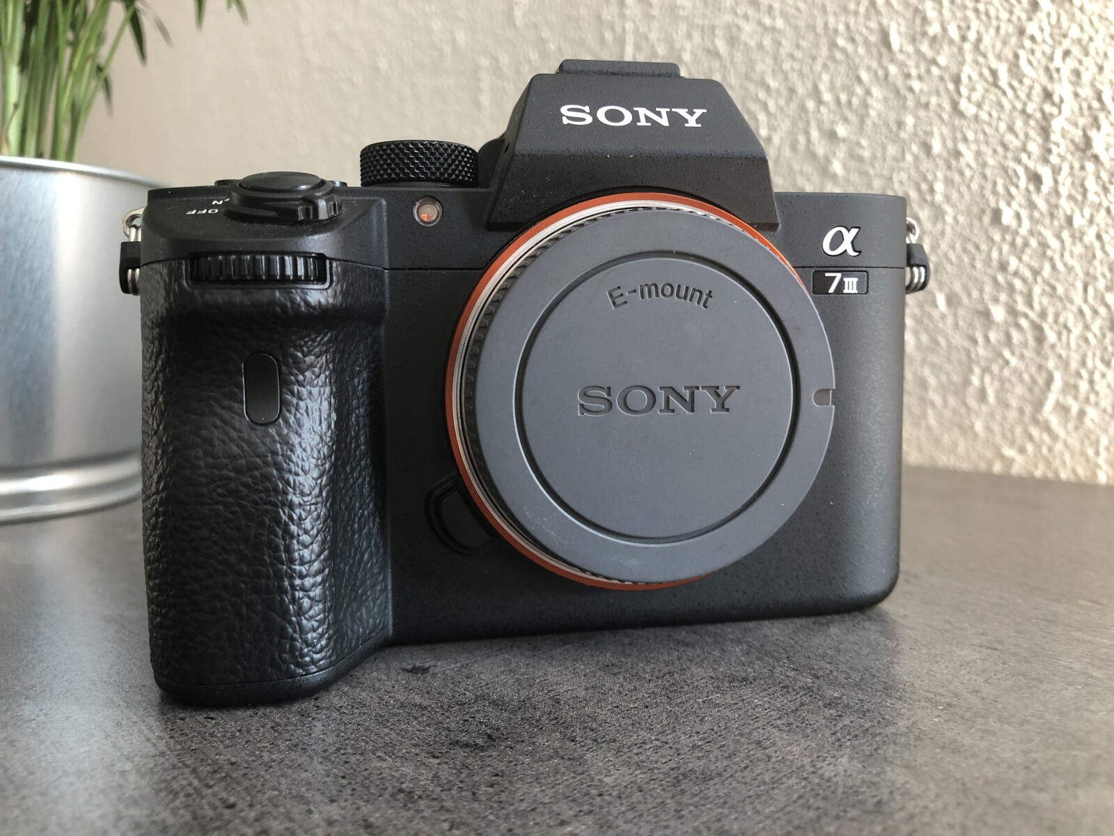 Sony Alpha 7S III (A7S 3) - Photo 1 sur 3