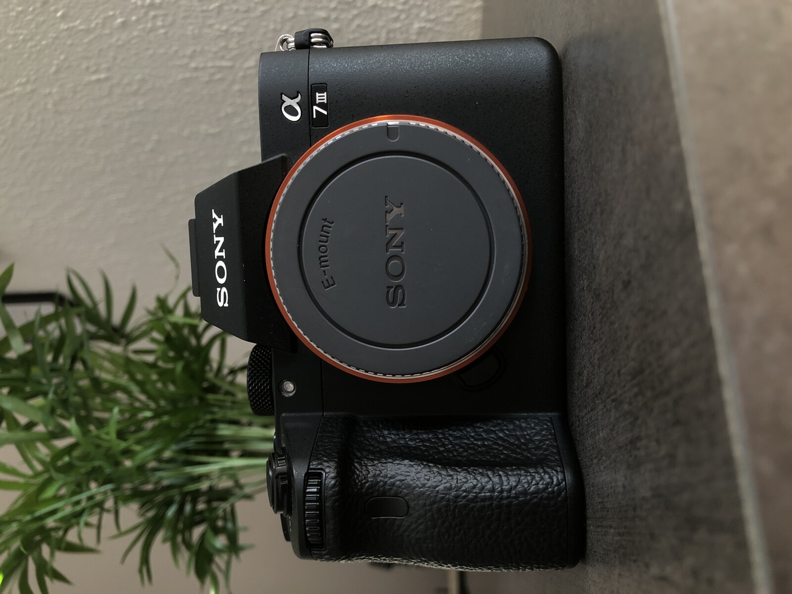 Sony Alpha 7S III (A7S 3) - Photo 2 sur 3