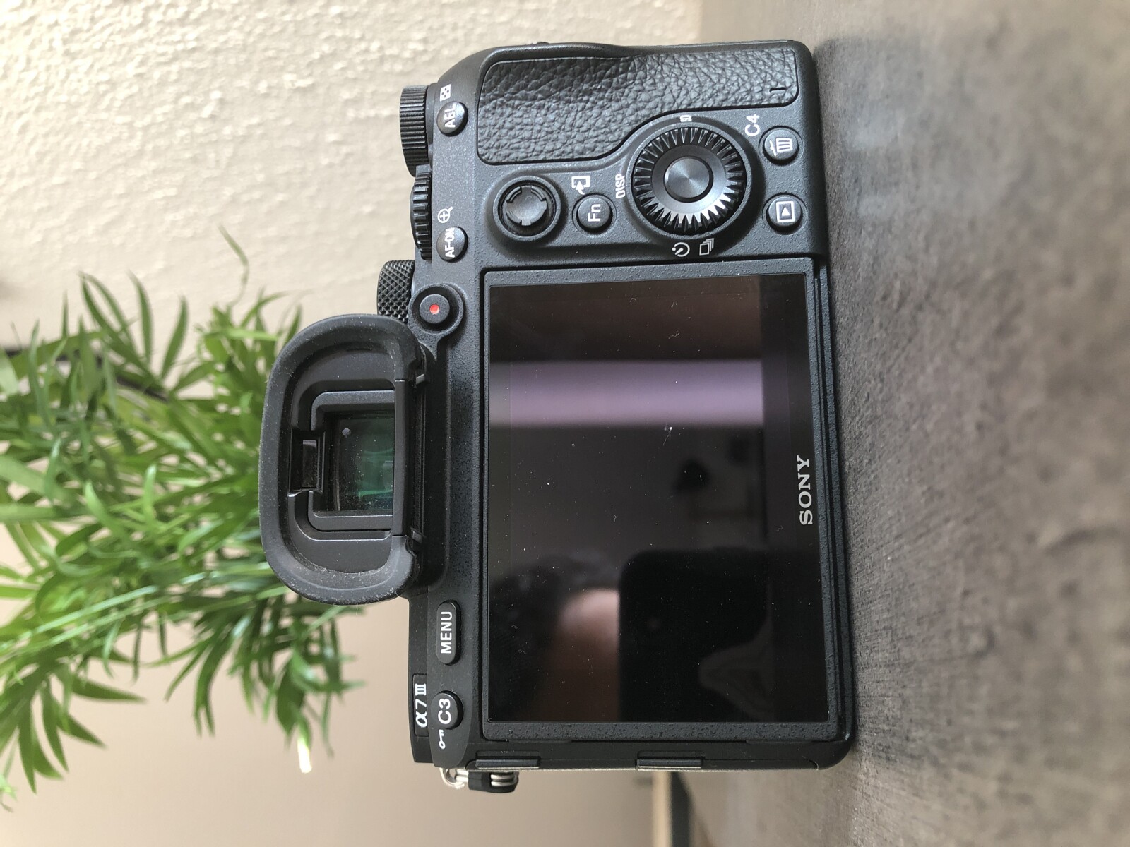Sony Alpha 7S III (A7S 3) - Photo 3 sur 3