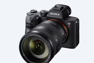 Location Sony FE 24-105mm f/4 G OSS