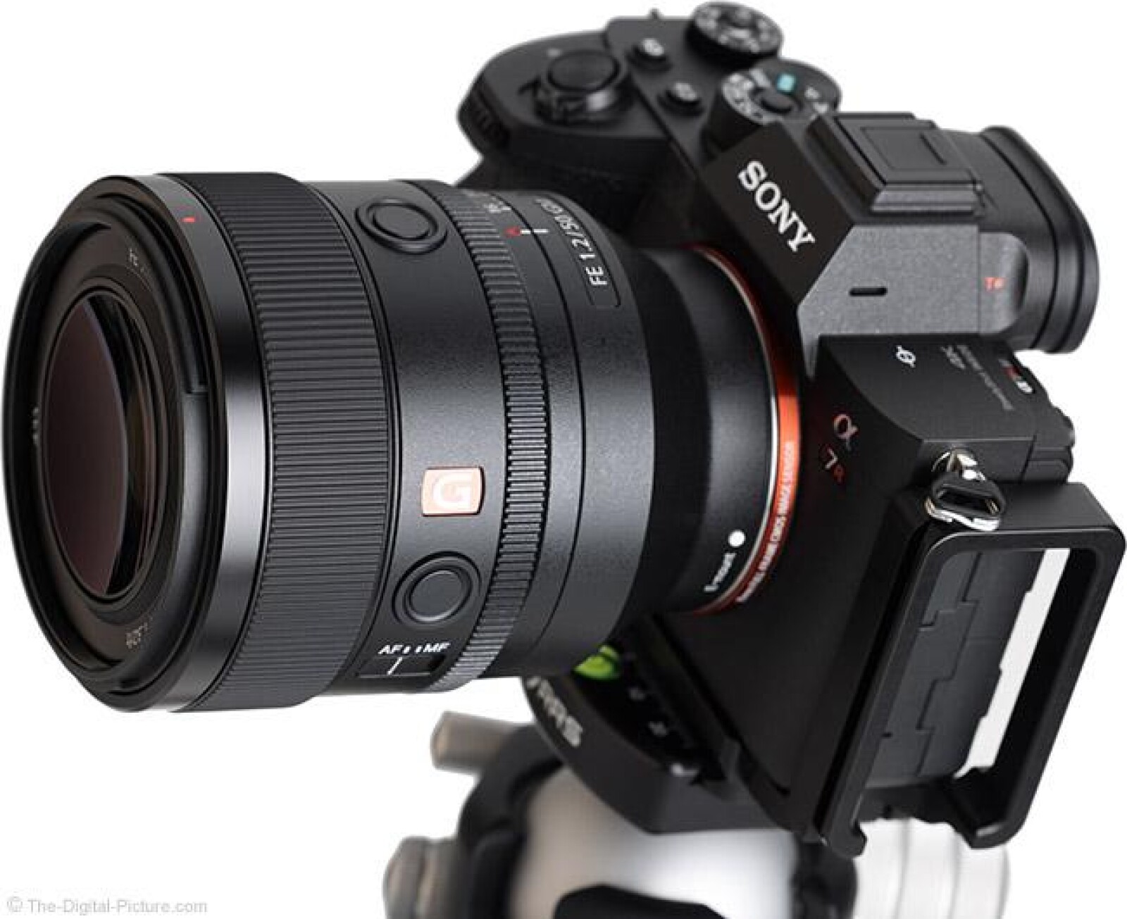Sony FE 50mm f/1.2 GM - Photo 4 sur 4