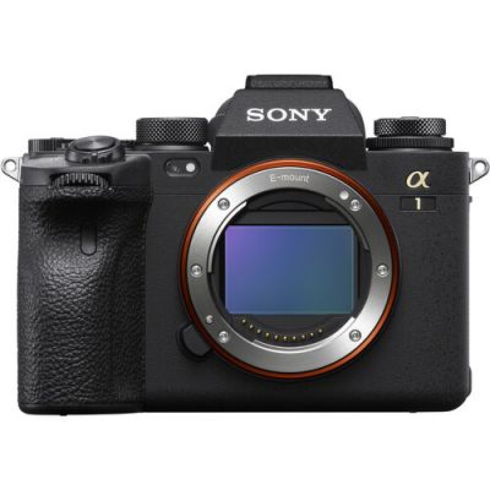 Sony Alpha 1 - Photo 1 sur 5