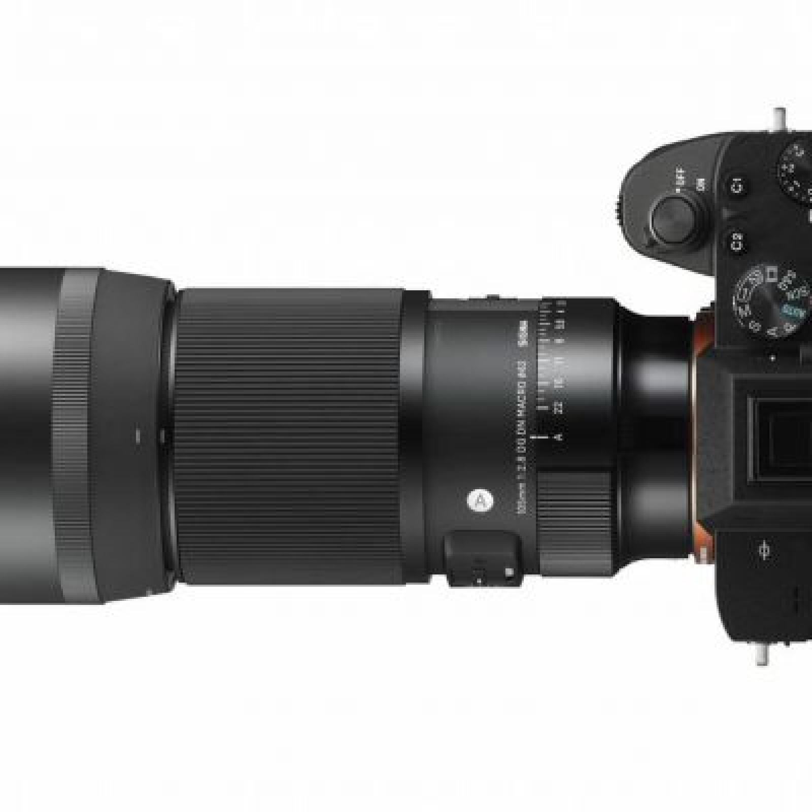 Sigma 105mm F2.8 DG DN MACRO Art FE - Photo 3 sur 4