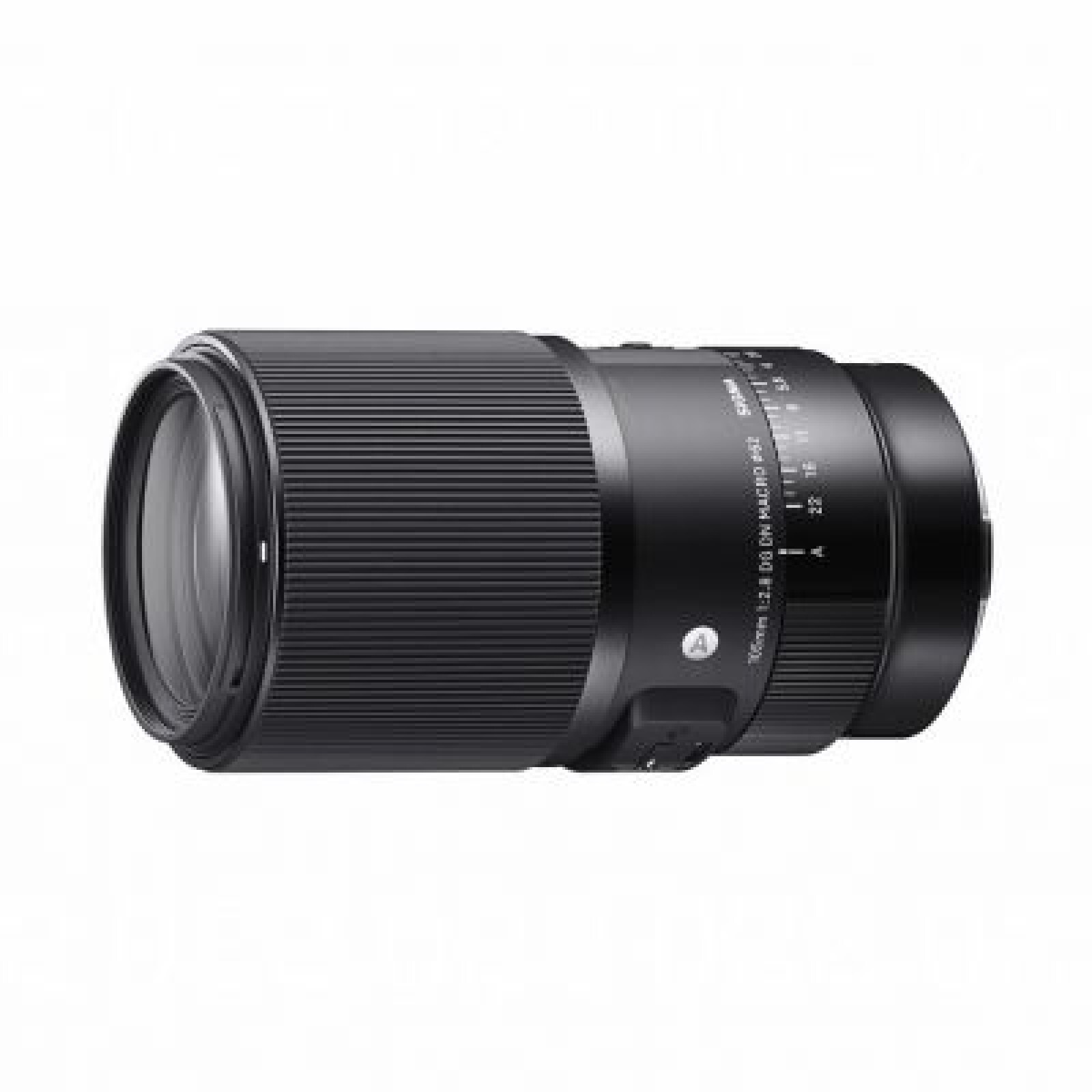 Sigma 105mm F2.8 DG DN MACRO Art FE - Photo 4 sur 4