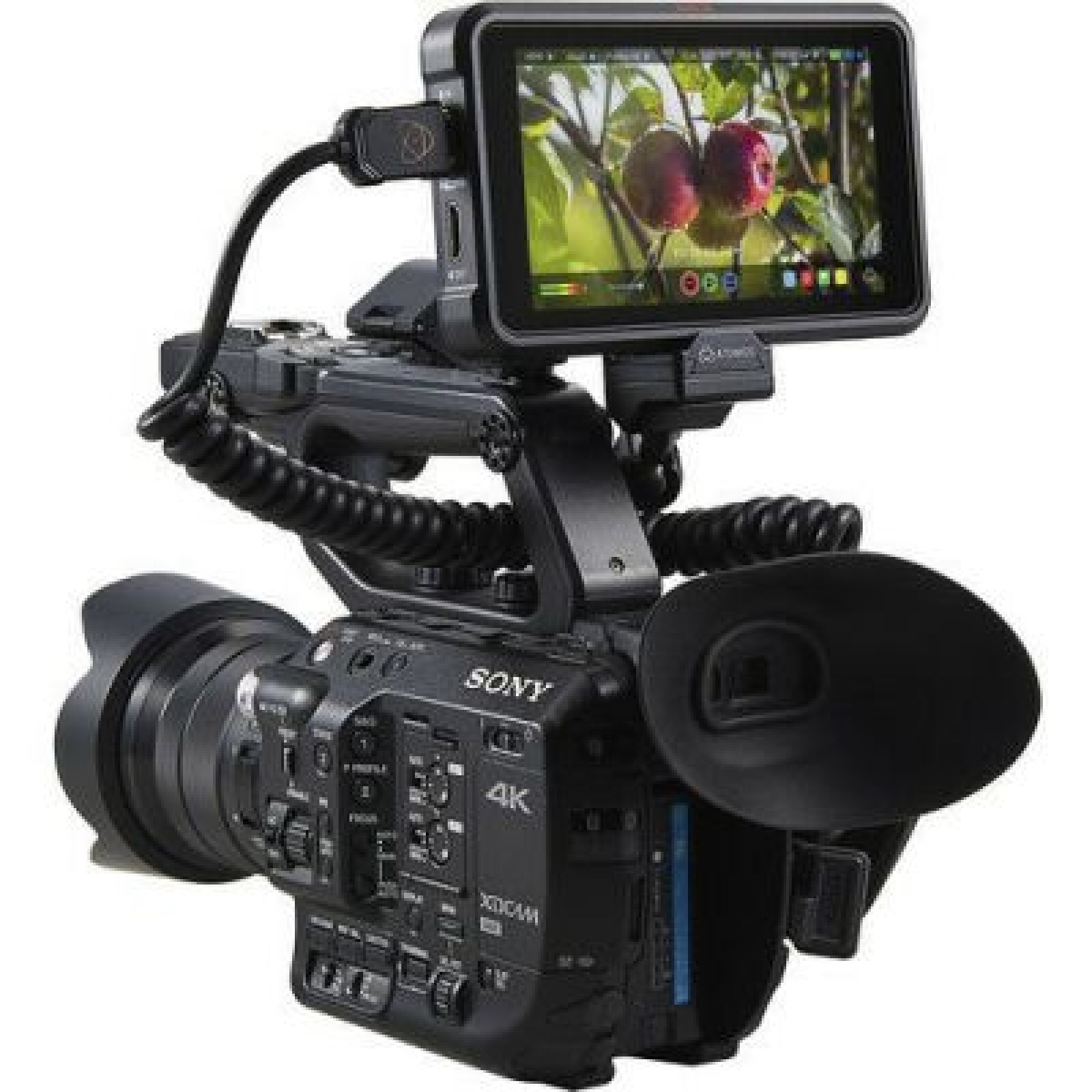 Atomos Ninja V - Photo 2 sur 5