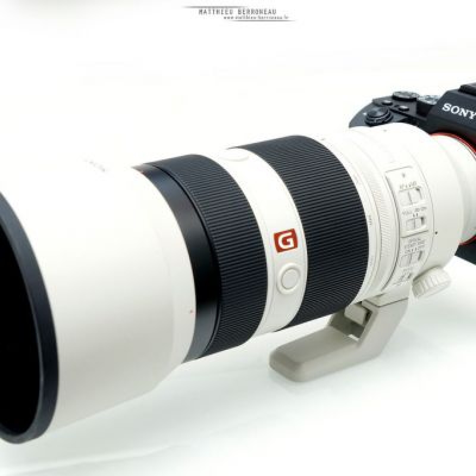 Sony FE 100-400mm f/4.5-5.6 GM OSS - Photo 3 sur 3